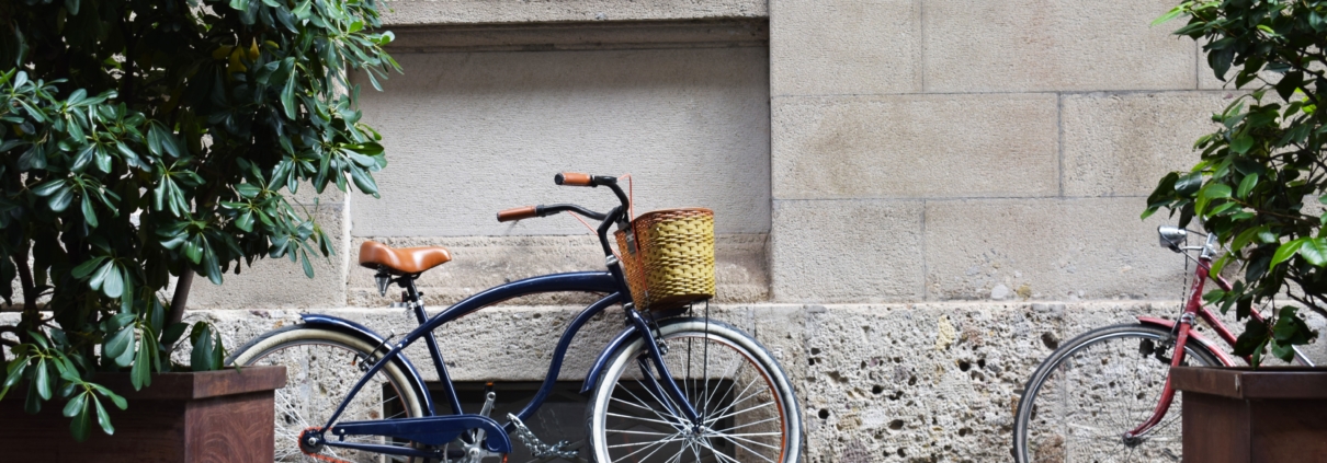 commuter bike basket